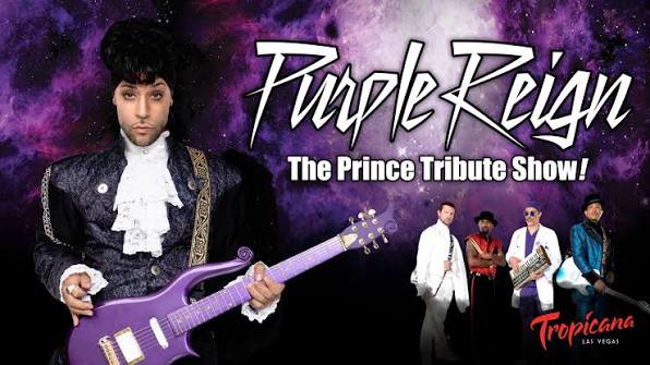 purple reign the prince tribute show 1