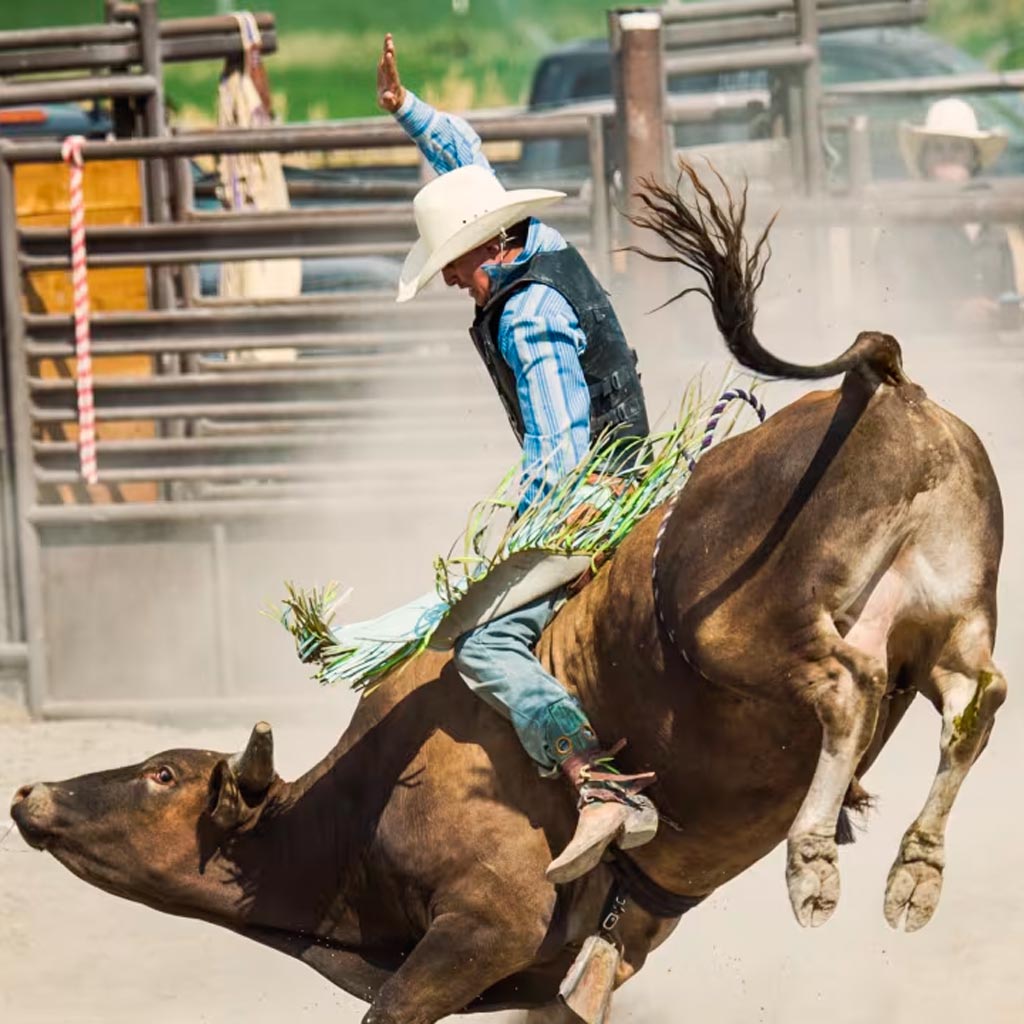 National Finals Rodeo (NFR)